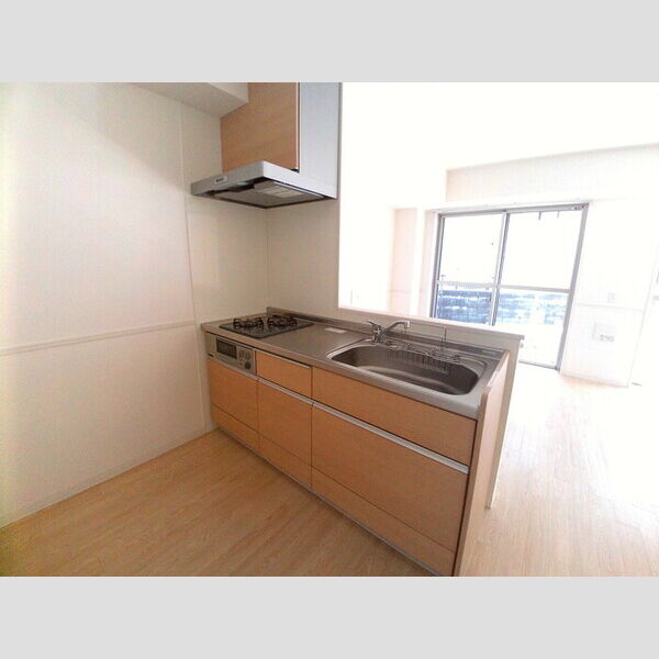 ジ・エレガンス城山101号室 2コンロのシステムキッチン