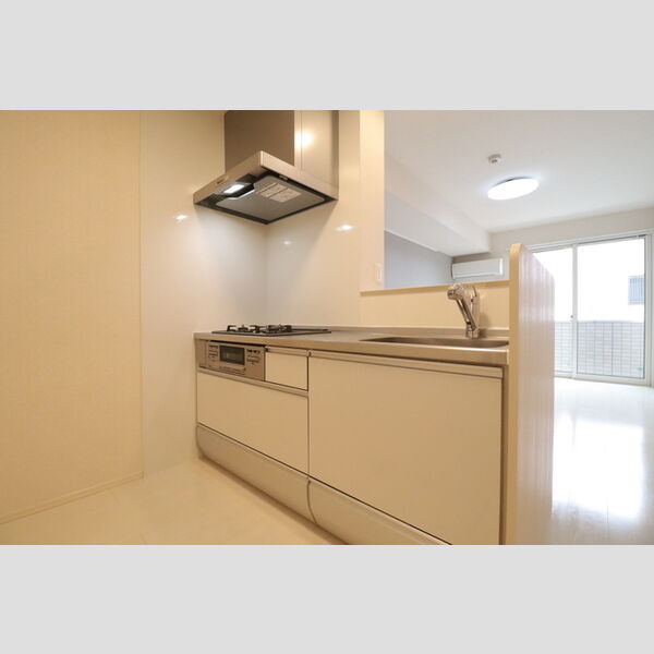 roi del'ours　Ⅲ 対面式システムキッチン