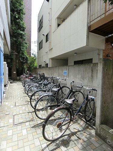 グラチアトルリ5階 同建物別部屋の参考画像