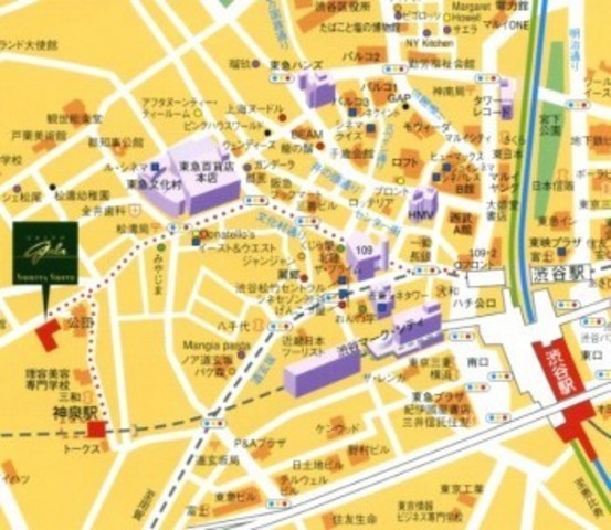 グランド・ガーラ渋谷松濤8階 null