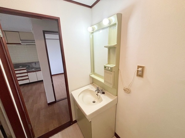 エッソール福生203号室 洗面