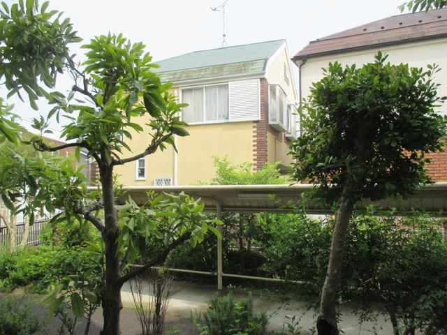 湘南鵠沼海岸リラホーム0105号室 展望