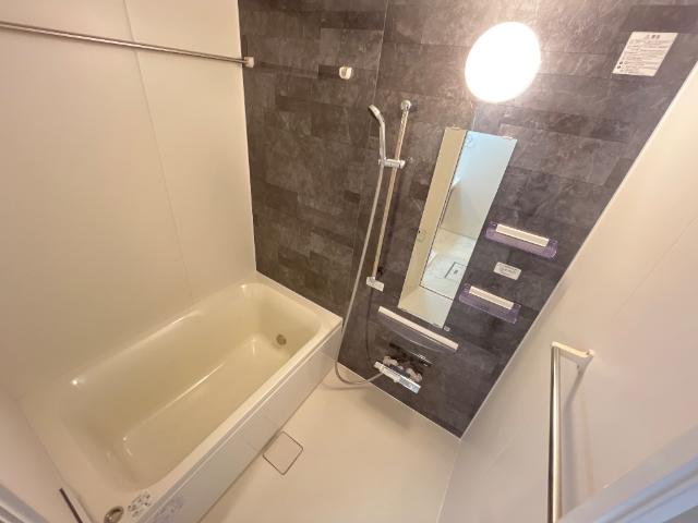 ＧＲＥＥＮ　ＳＯＲＲＥＬ　Ⅱ（グリーン　ソレル　ツー） バス