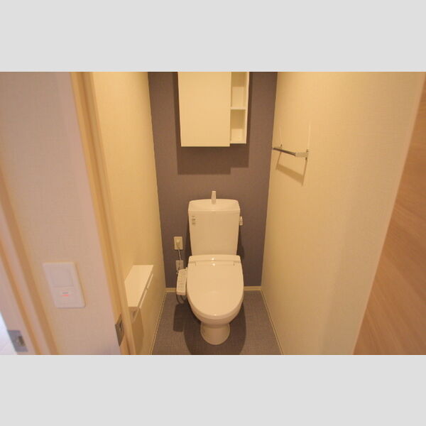 Trio　Mare　蔵前(トリオマーレクラマエ)0601号室 トイレ