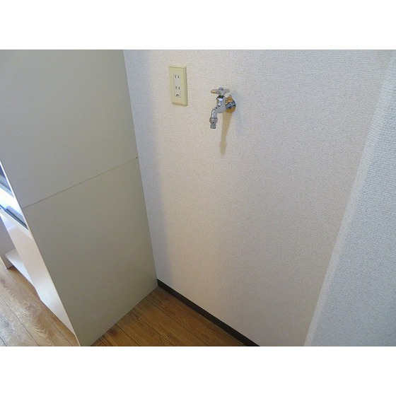 エバーグレース西府0310号室 室内洗濯機置き場