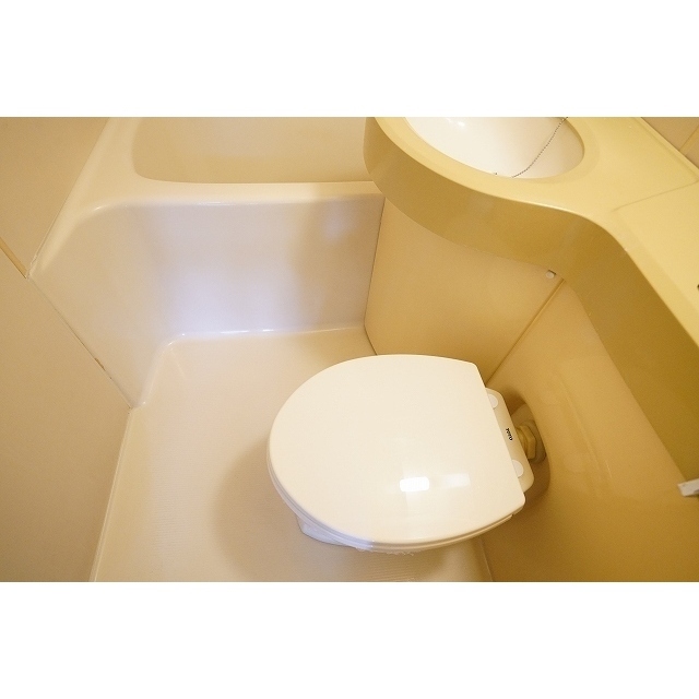 ダイヤモンドレジデンス南大塚0201号室 トイレ