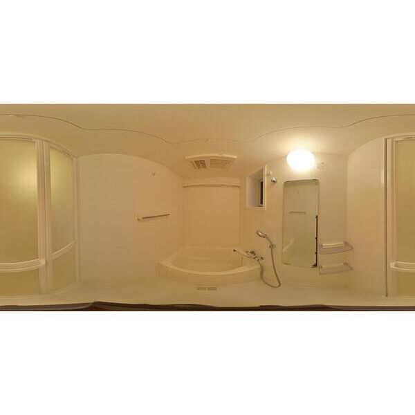 ニシオギソウ お風呂