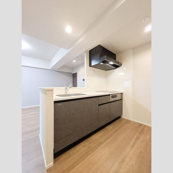 サンジョイアゼロ607号室 キッチン