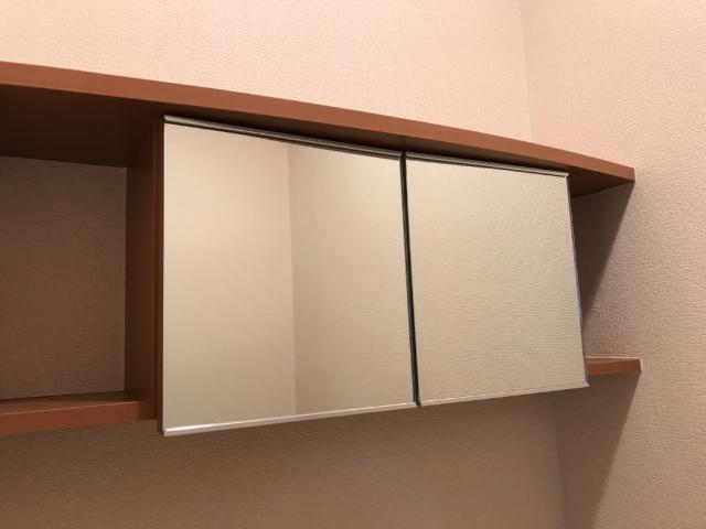 イズミガーデンヒルズ206号室 トイレ収納
