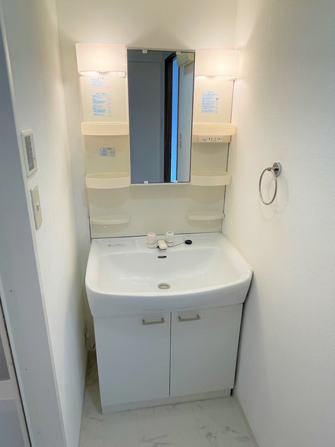 バイオレットＴＡＫＥＤＡ0206号室 洗面