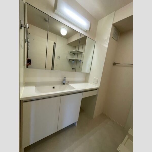 トネリコテラス　1 洗髪洗面化粧台