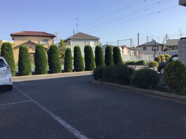 ルミエール山王Ａ ※実際の使用状況とは異なります(現況優先)