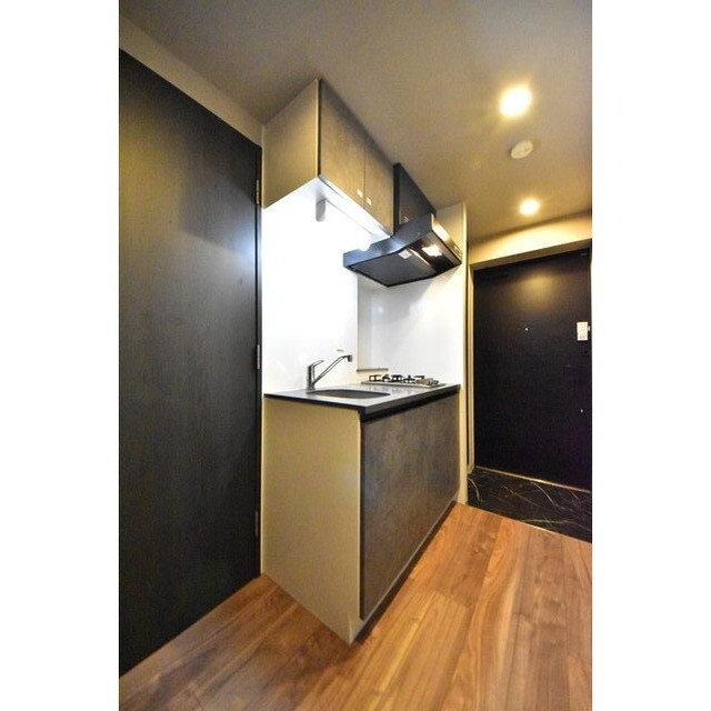 ハーモニーグラシア代々木0203号室 内観