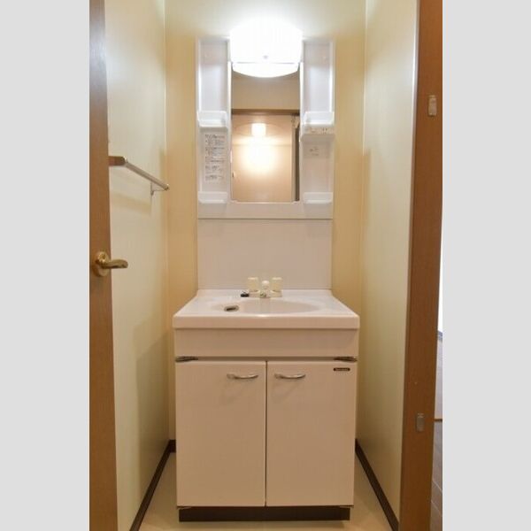 リビングタウン厚木202号室 洗面台