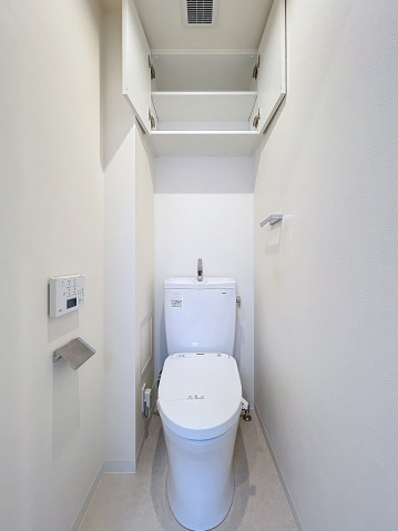 スカイコートパレス新大塚 同タイプ参考写真