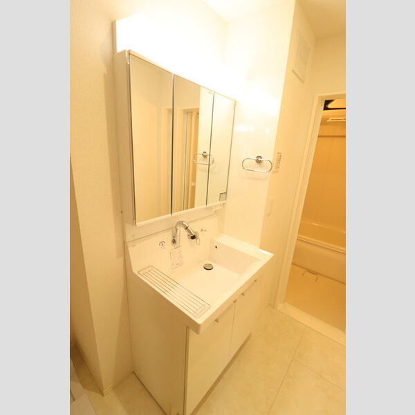 D-comodo深大寺北町301号室 洗面所