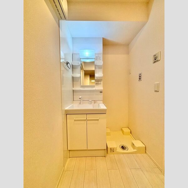 レスティングスウェル浦和103号室 洗面