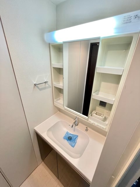 レジディア新御徒町Ⅱ4階 洗面