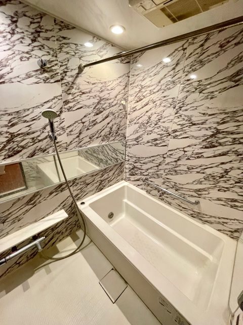 レジディア芝浦ＫＡＩＧＡＮ4階 お風呂