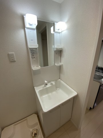リーヴェルポート横浜三ッ沢LUKIA202号室 洗面