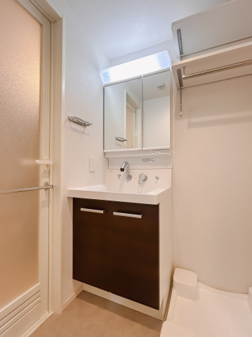 アイル グランデ川口312号室 洗面