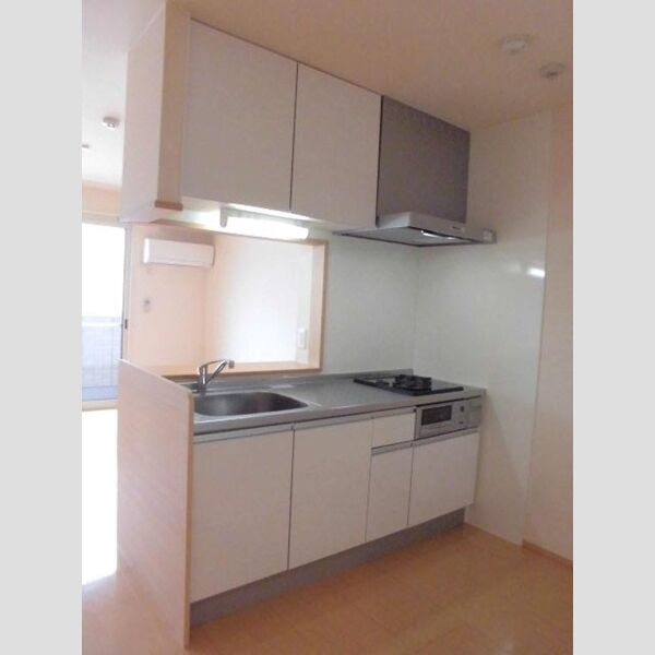 ヴァンフレイス早稲田303号室 対面システムキッチン