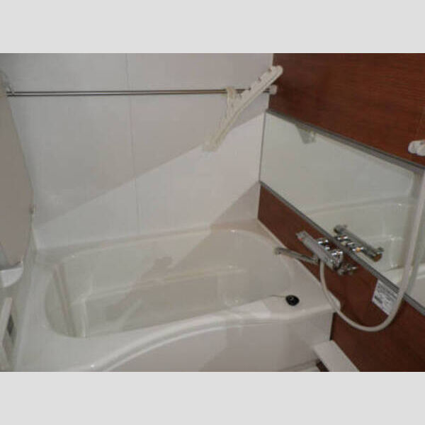 シャンドーレ西高島平202号室 シャンドーレ西高島平　浴室