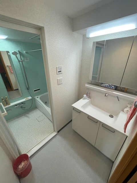 リーベスト東中山5階 洗面