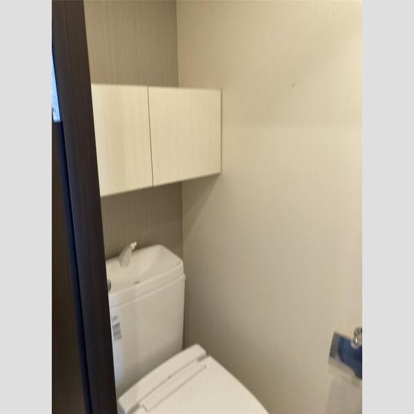 S-FORT八王子堀之内306号室 トイレ