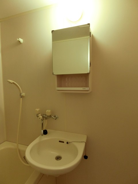 コリーナヴェルデ0103号室 洗面