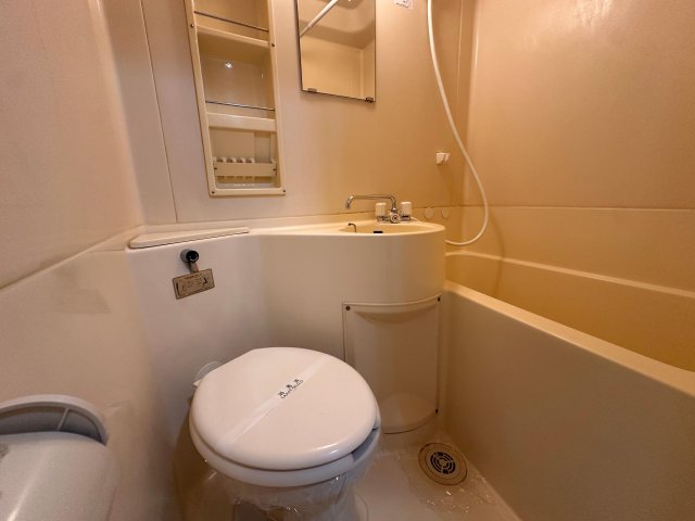 プラザ ドゥ グレンヂ トイレ