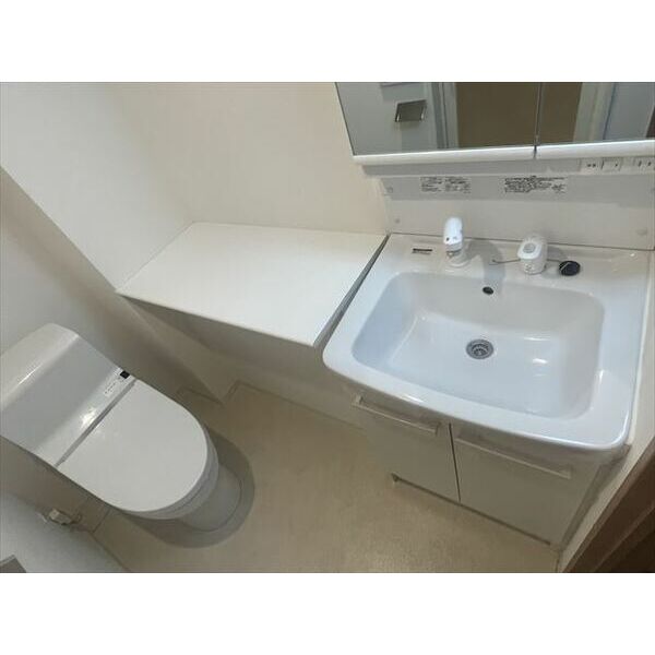 エルフォルテ赤羽西109号室 洗面