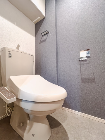 アイル グランデ川口313号室 トイレ