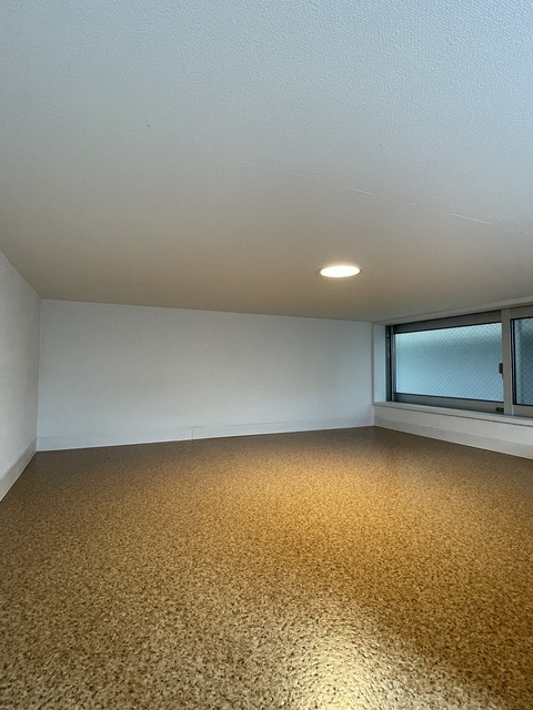 ハウス＆パーク四谷若葉 リビング