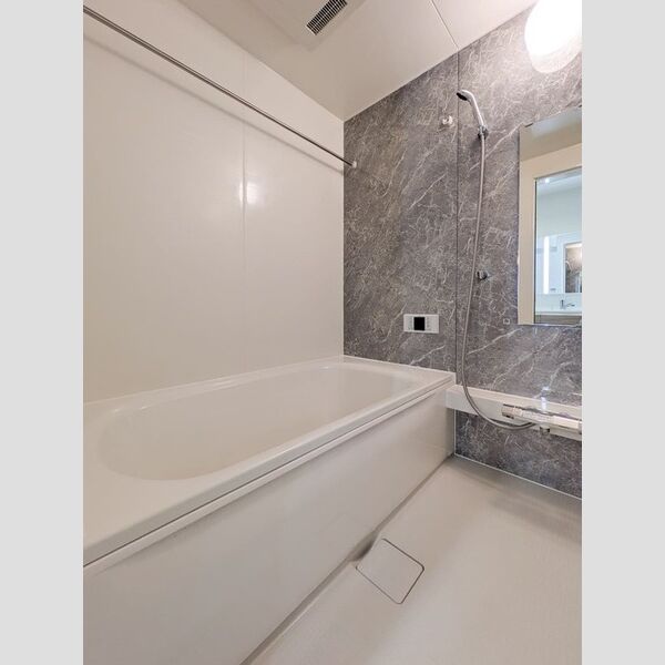 Dアヴァンス高富A 追い焚き給湯1坪タイプ