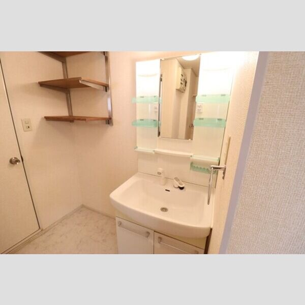 ドミールヴィレッジ　Ⅰ 洗髪洗面化粧台