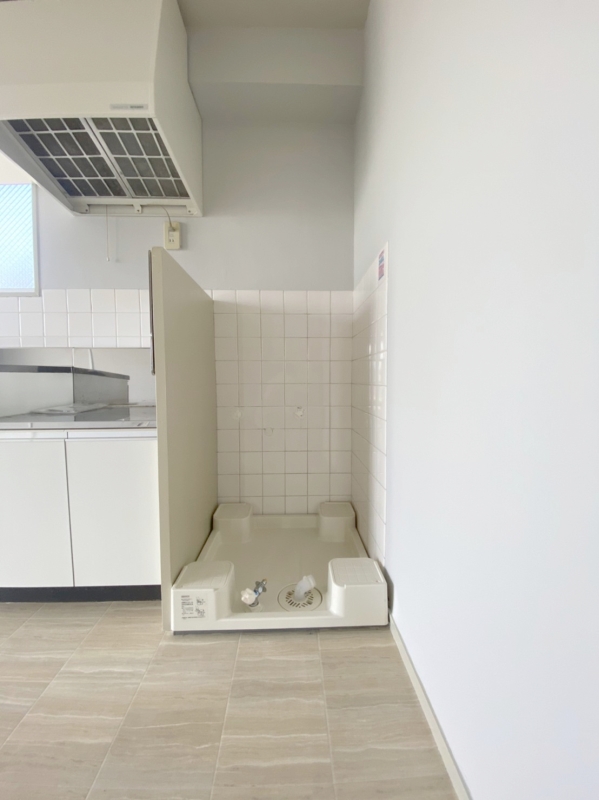 田園ロイヤルハイツ 洗面