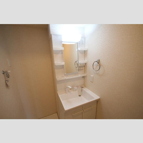 アンジュール新田305号室 洗面