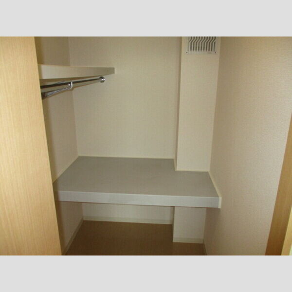 IRマスヤ　A A205(ウォークインクローゼット)