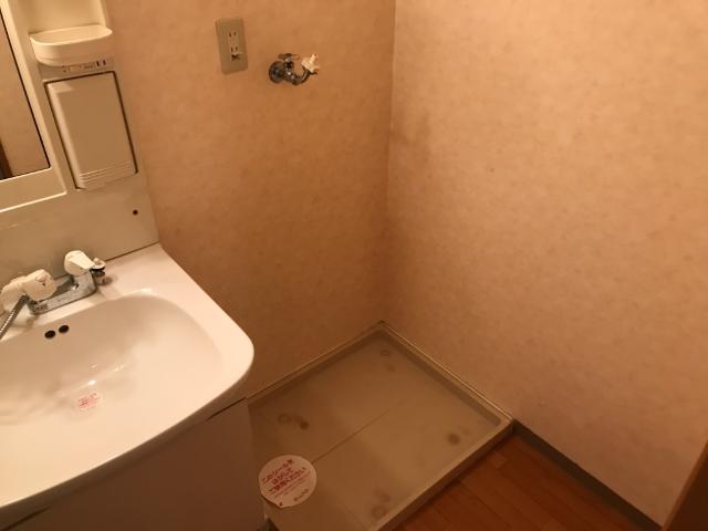 グリーンヒルズ201号室 洗濯機置場