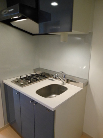 ガーラ・シティ亀戸 システムキッチン