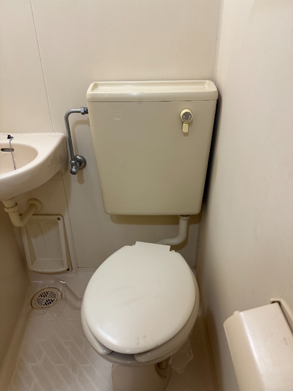 ルピナス トイレ