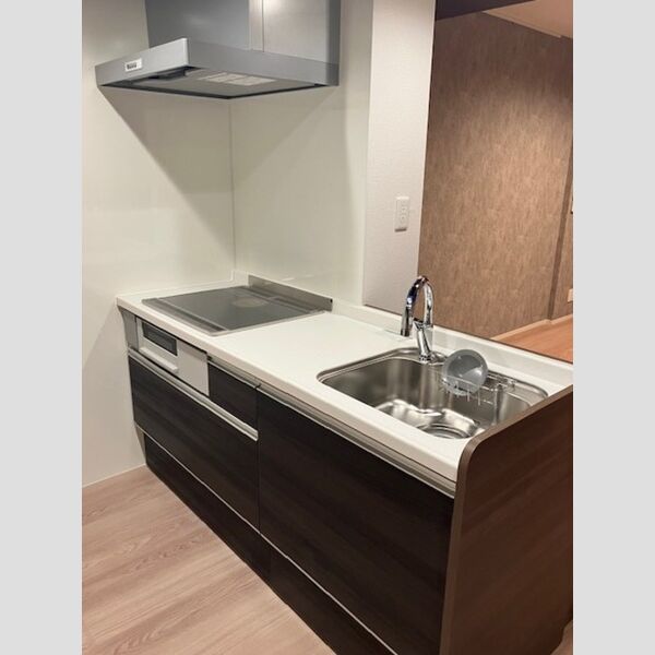 ノーブルラフィネ白幡203号室 システムキッチン