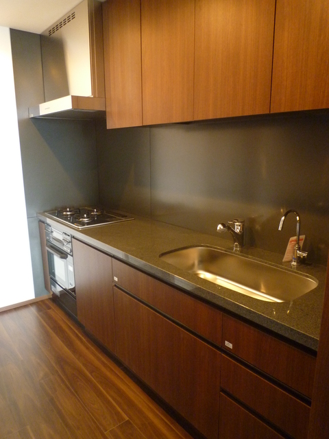 二番町テラス G2・N1タイプ2009年8月撮影