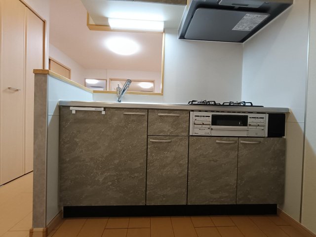 サングッドヒル レンジフード、シャワー付水栓、手元灯交換済