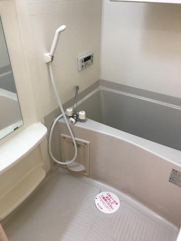 パイン・フィールド　 バス