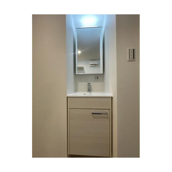 VISTA　IZUMI201号室 洗面