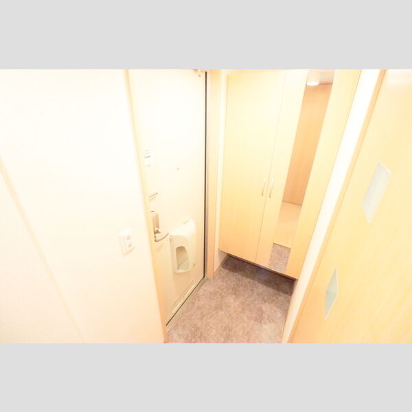 テラスコート301号室 玄関