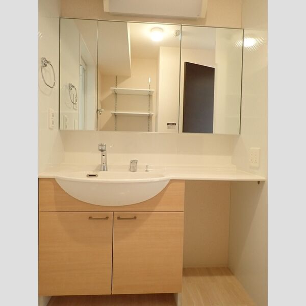 ルミエール　K306号室 洗髪洗面化粧台