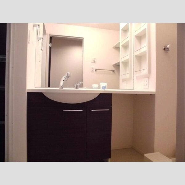 ロハス末広207号室 洗髪洗面化粧台